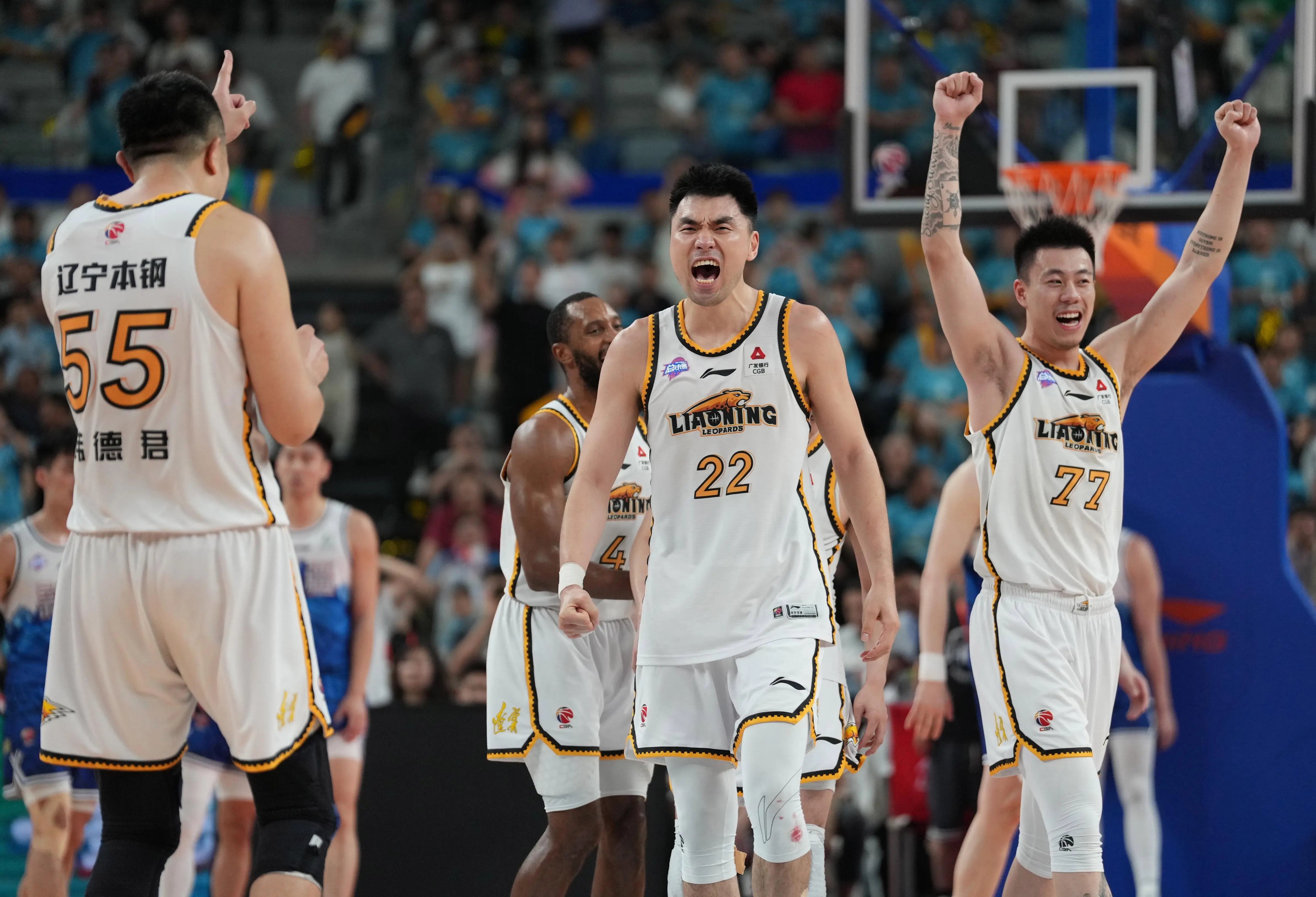 包含波士顿凯尔特人训练开放日，今夜强势反弹引欢呼，CBA常规赛在即，球队文化再被提及的词条